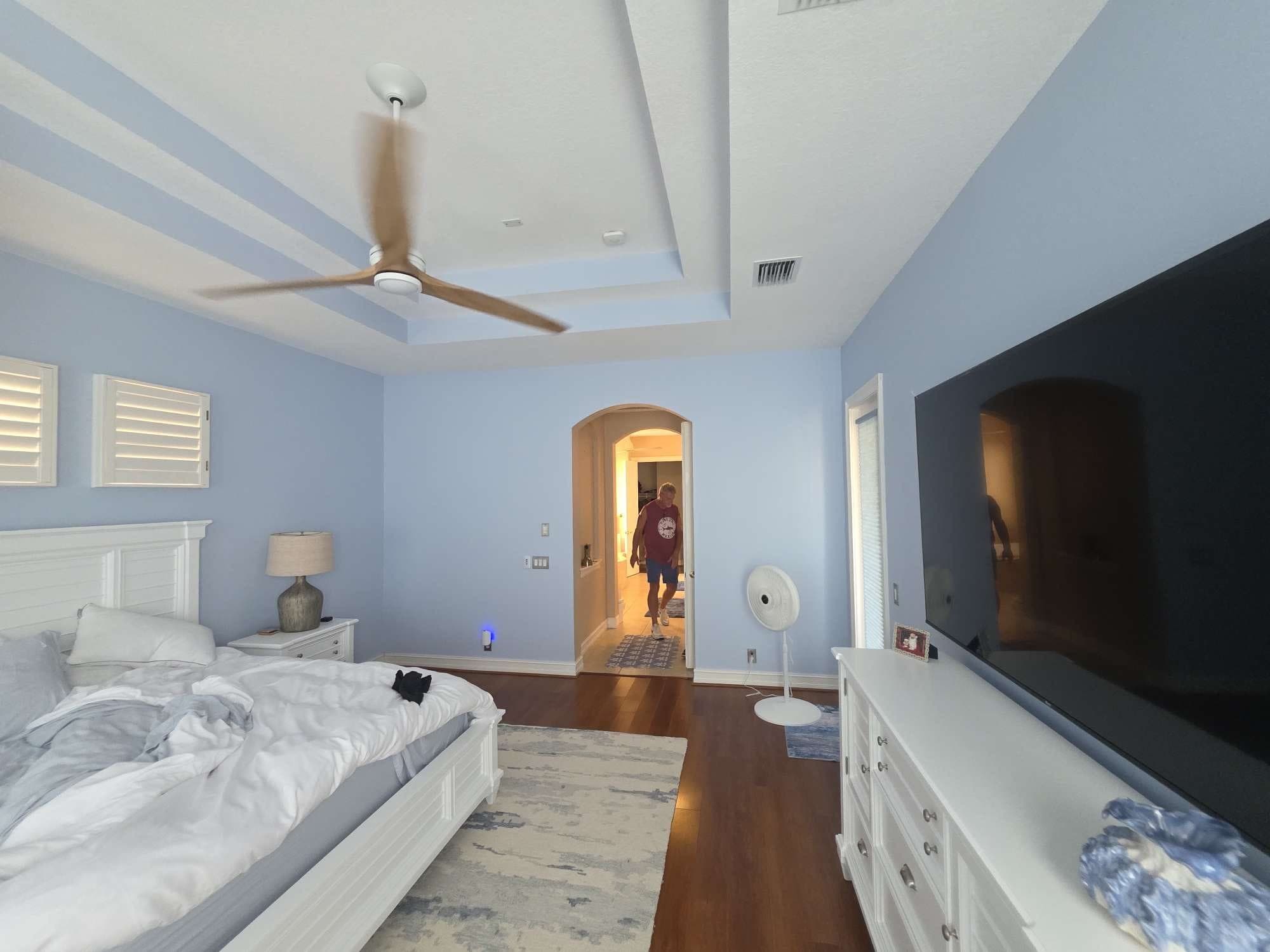interior setup5 venice by Gold Lion Painting Inc for Venice